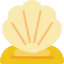 Shell icon 64x64