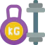 Weights icon 64x64