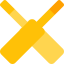 Cricket icon 64x64