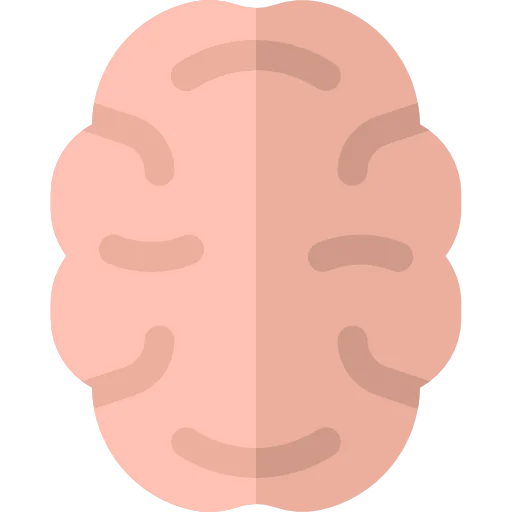 Brain icon