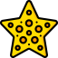 Starfish icon 64x64