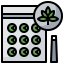 Marihuaja icon 64x64