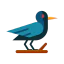Crow icon 64x64
