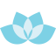 Lotus icon 64x64
