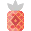 Pineapple icon 64x64