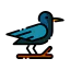 Crow icon 64x64