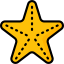Starfish 图标 64x64