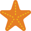 Starfish 图标 64x64