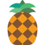 Pineapple icon 64x64