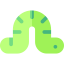 Worm 图标 64x64