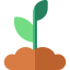 Sprouts 图标 64x64