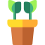 Plant 图标 64x64