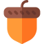 Acorn 图标 64x64