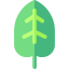 Leaf 图标 64x64