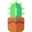 Cactus іконка 64x64