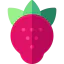 Strawberry іконка 64x64