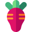 Radish іконка 64x64