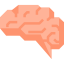 Brain アイコン 64x64