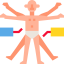 Anatomy アイコン 64x64