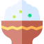 Rice 图标 64x64