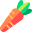Carrot 图标 64x64