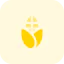 Corn 상 64x64