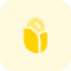 Maize 상 64x64