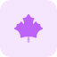 Maple leaf 상 64x64