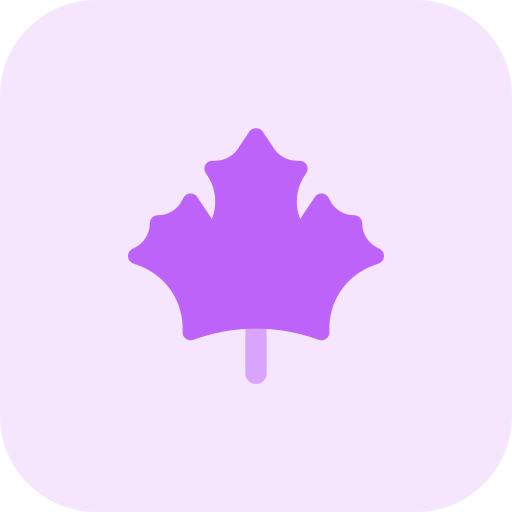 Maple leaf icon