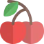 Cherry 상 64x64