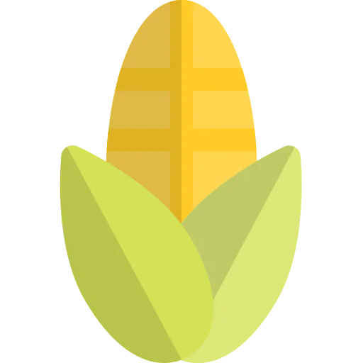 Corn 图标