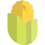 Maize 상 64x64