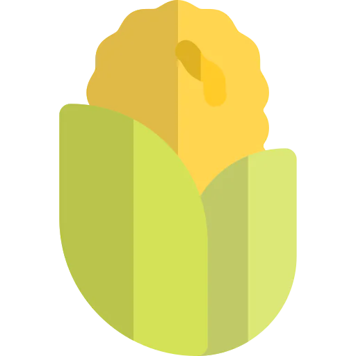 Maize 图标