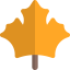 Maple leaf 상 64x64