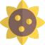 Sunflower іконка 64x64
