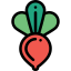 Radish icon 64x64