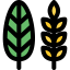 Harvest іконка 64x64