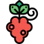 Grape icon 64x64