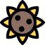 Sunflower іконка 64x64