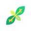 Basil іконка 64x64