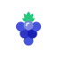 Berries іконка 64x64