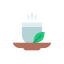 Green tea іконка 64x64