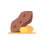 Nut іконка 64x64