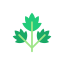 Parsley іконка 64x64