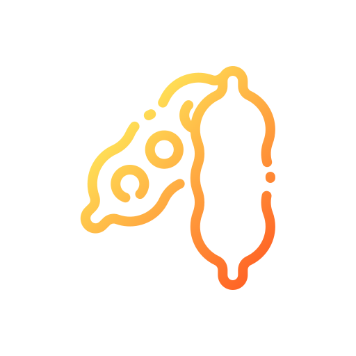 Soy 图标