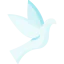 Pigeon icon 64x64