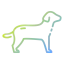 Canine icon 64x64