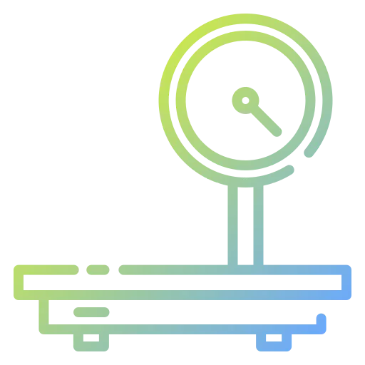 Scale icon