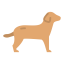Canine 图标 64x64