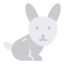 Rabbit 图标 64x64